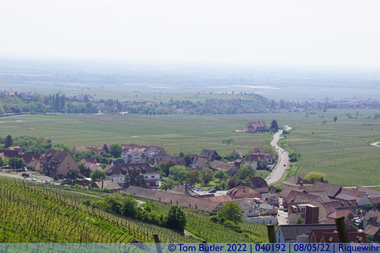 Photo ID: 040192, Looking across the plain, Riquewihr, France