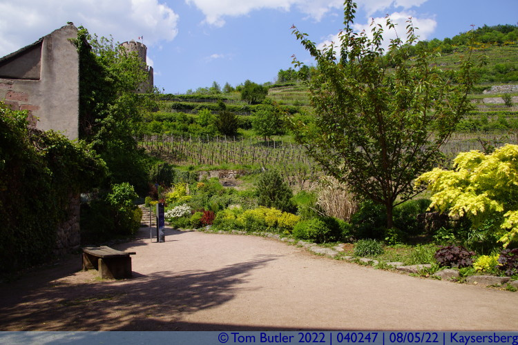Photo ID: 040247, Garden below the castle, Kaysersberg, France