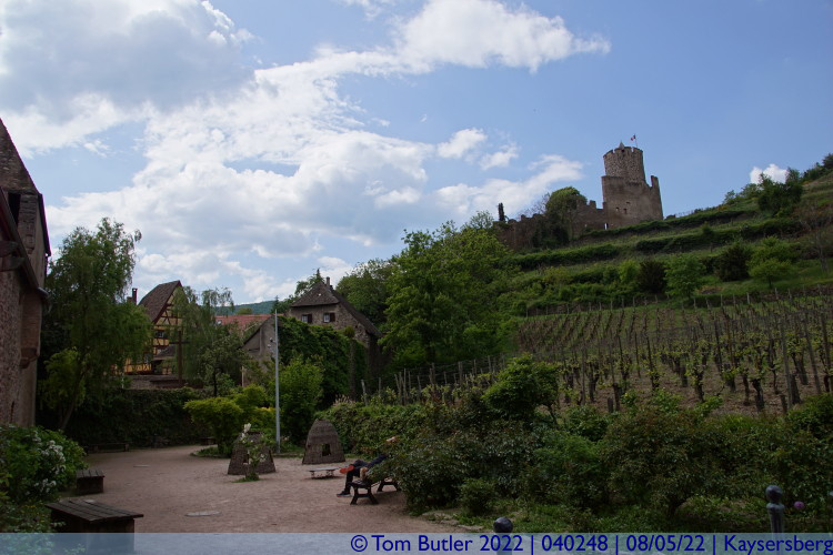 Photo ID: 040248, Vineyard and Castle, Kaysersberg, France