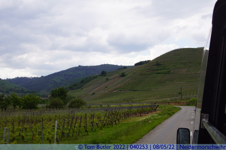 Photo ID: 040253, Vineyards and Mountains, Niedermorschwihr, France