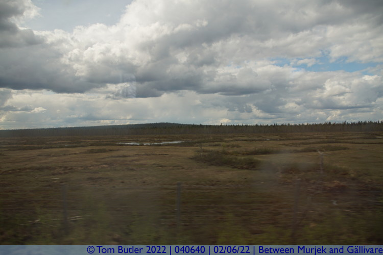 Photo ID: 040640, Heath and lakes, Between Murjek and Gllivare, Sweden