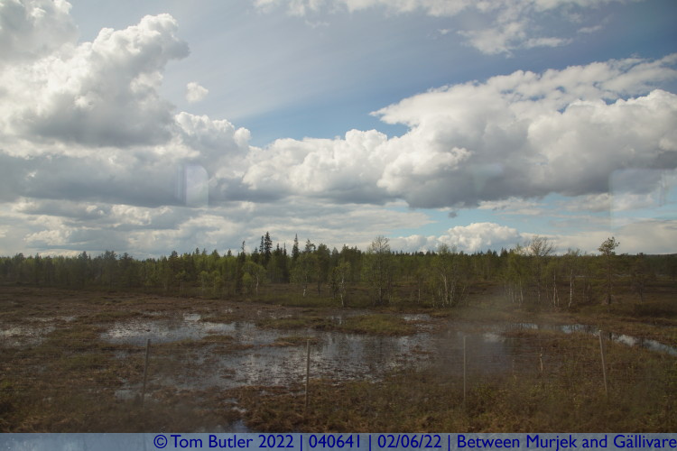 Photo ID: 040641, Marsh, Between Murjek and Gllivare, Sweden