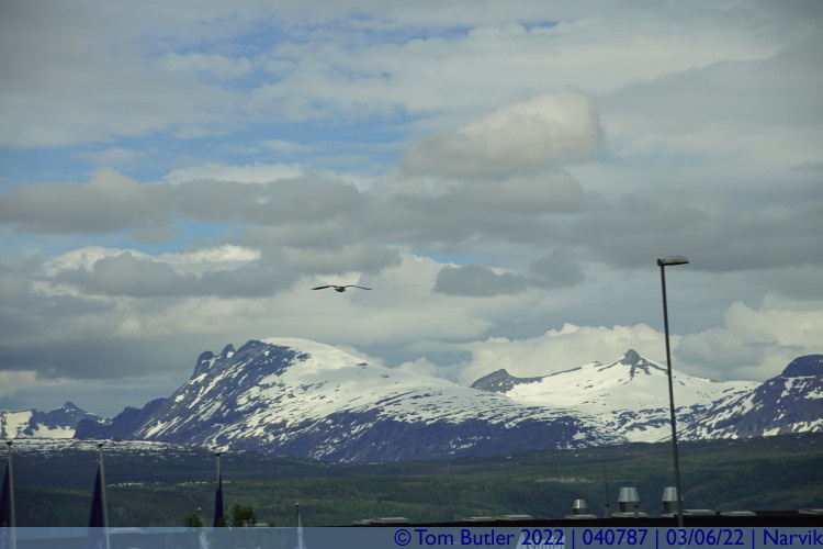 Photo ID: 040787, Peaks in the distance, Narvik, Norway
