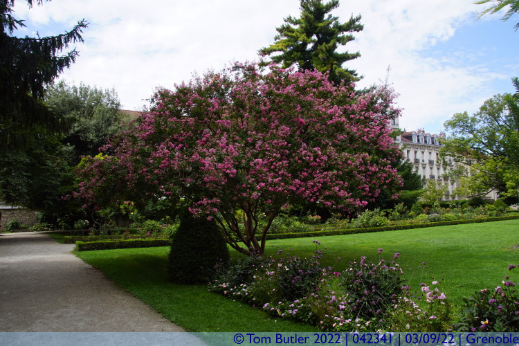 Photo ID: 042341, Tree in full bloom, Grenoble, France