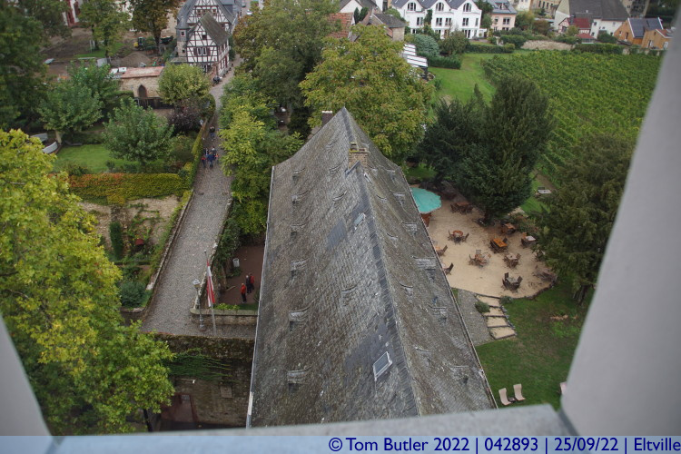 Photo ID: 042893, View from the tower, Eltville, Germany