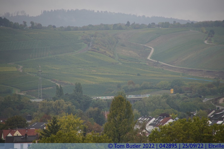 Photo ID: 042895, Vineyards in the distance, Eltville, Germany