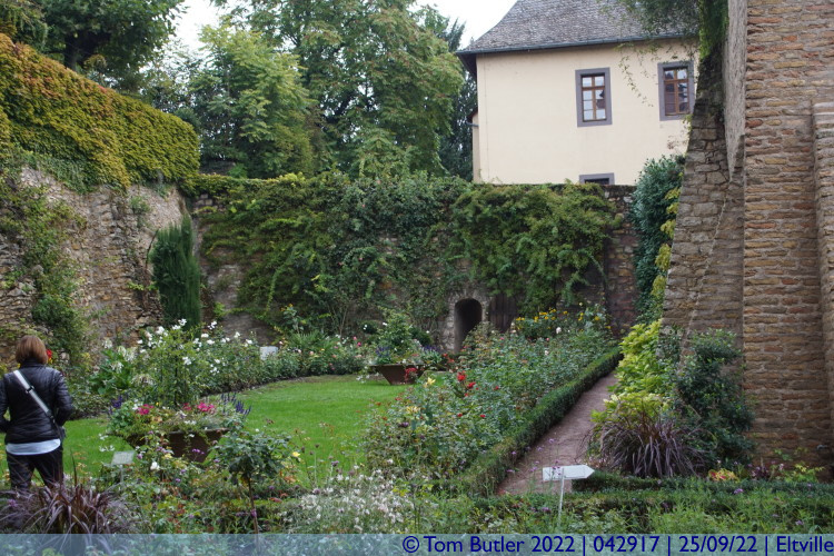 Photo ID: 042917, Inside the Rose Garden, Eltville, Germany