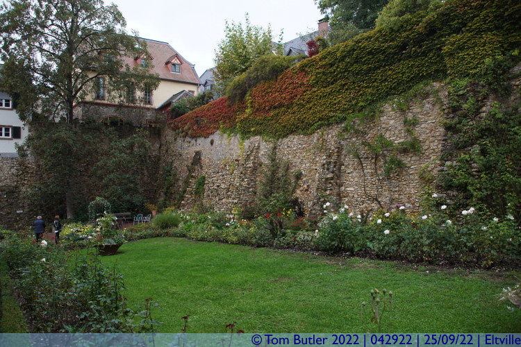 Photo ID: 042922, In the Rose Garden, Eltville, Germany