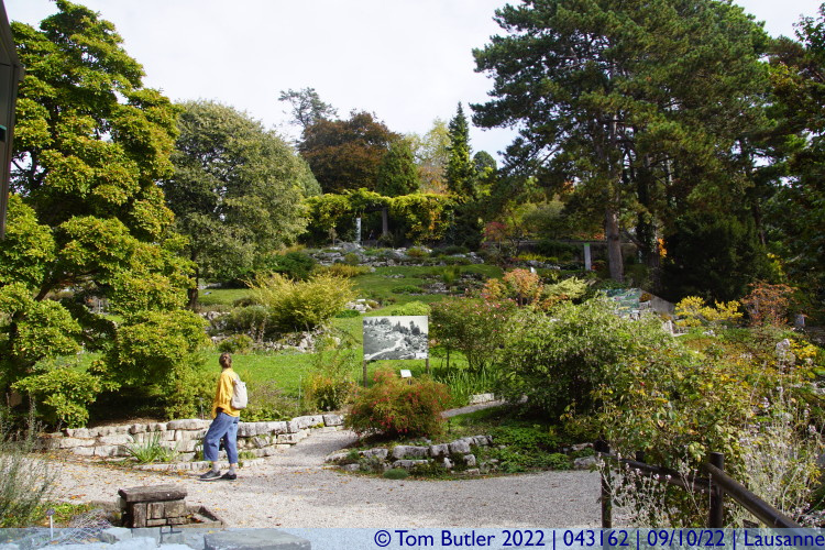 Photo ID: 043162, Jardins botaniques cantonaux, Lausanne, Switzerland