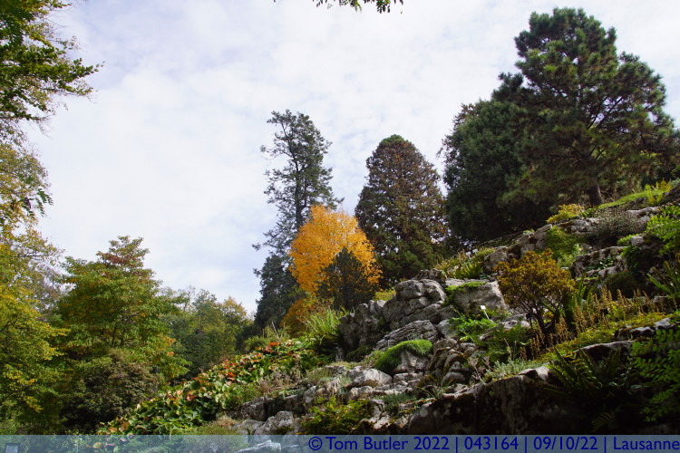 Photo ID: 043164, Someone thinks its autumn, Lausanne, Switzerland