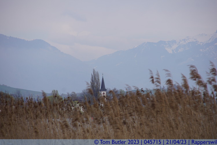 Photo ID: 045715, St. Martins Church through the reeds, Rapperswil, Switzerland
