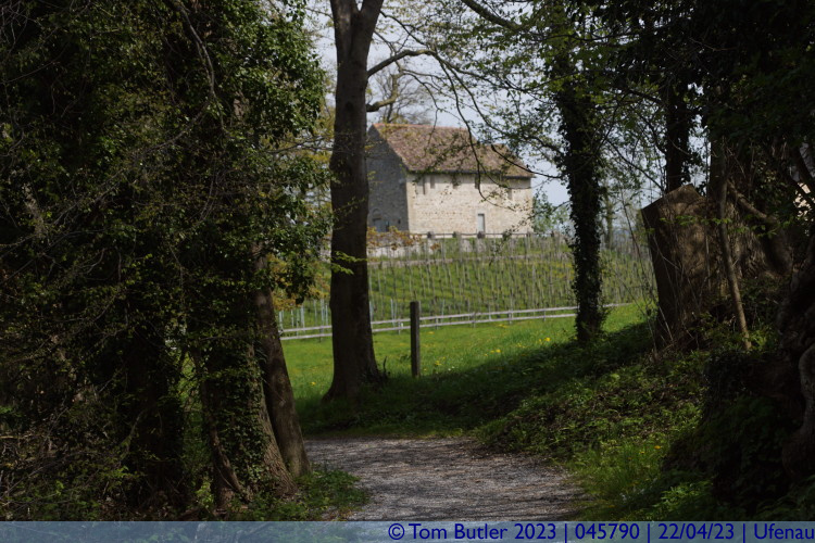 Photo ID: 045790, St Martins Chapel, Ufenau, Switzerland