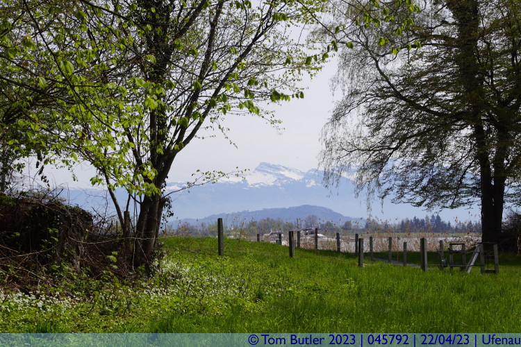 Photo ID: 045792, Looking along the southern path, Ufenau, Switzerland