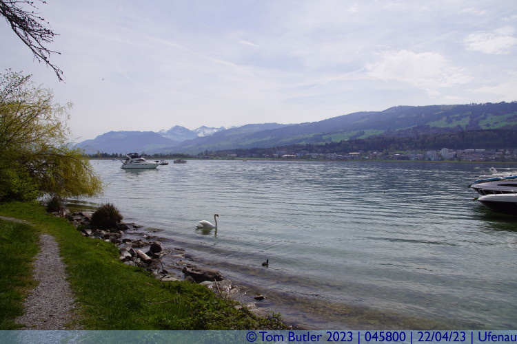 Photo ID: 045800, View from the Yacht harbour, Ufenau, Switzerland