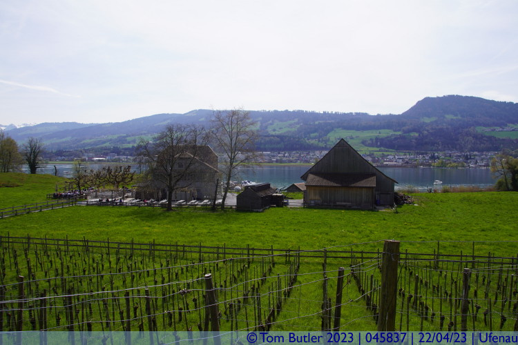 Photo ID: 045837, Vineyards and restaurant, Ufenau, Switzerland