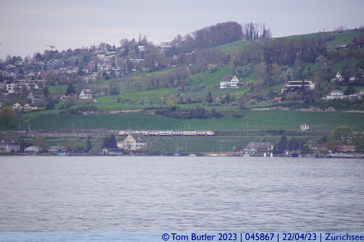 Photo ID: 045867, Train on the east bank of the lake, Zrichsee, Switzerland
