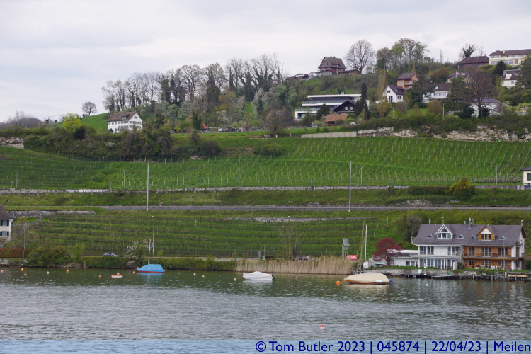 Photo ID: 045874, Vineyards on the edge of town, Meilen, Switzerland