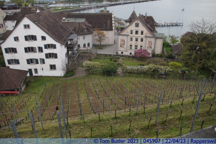 Photo ID: 045907, Castle side vineyards, Rapperswil, Switzerland