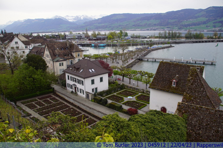Photo ID: 045912, Rose gardens, Rapperswil, Switzerland