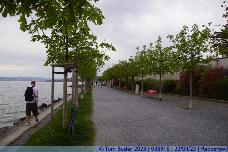 Photo ID: 045916, Looking down the Bhlerallee, Rapperswil, Switzerland