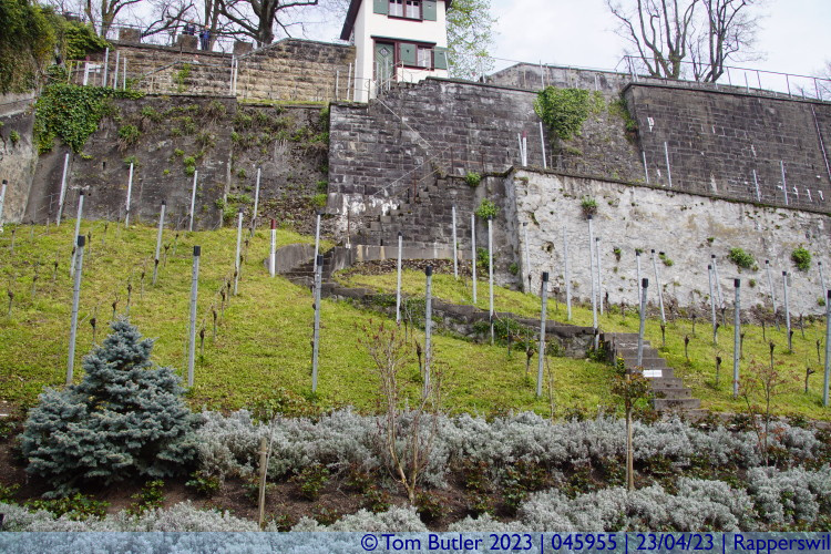Photo ID: 045955, Slopes of the castle hill, Rapperswil, Switzerland