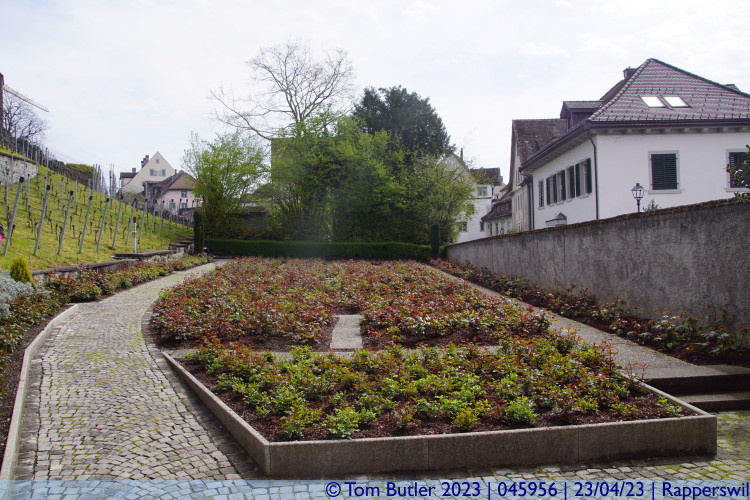 Photo ID: 045956, Inside the rose garden, Rapperswil, Switzerland