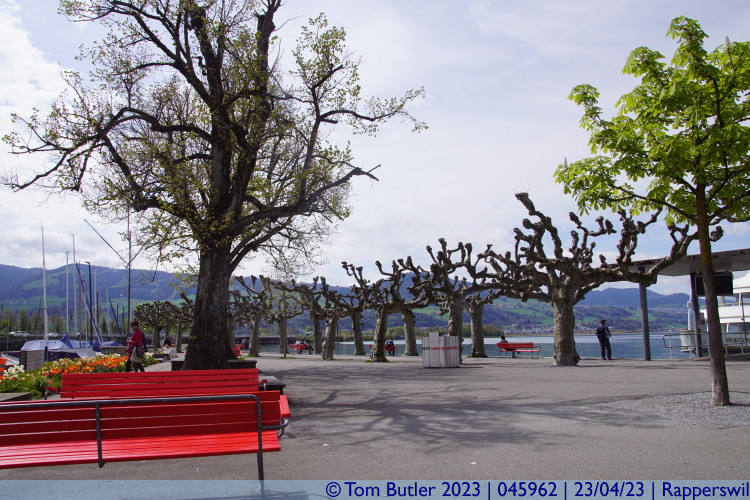 Photo ID: 045962, By the harbour, Rapperswil, Switzerland