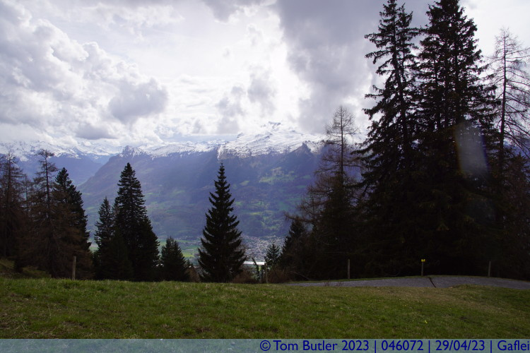 Photo ID: 046072, Peaks and pines, Gaflei, Liechtenstein