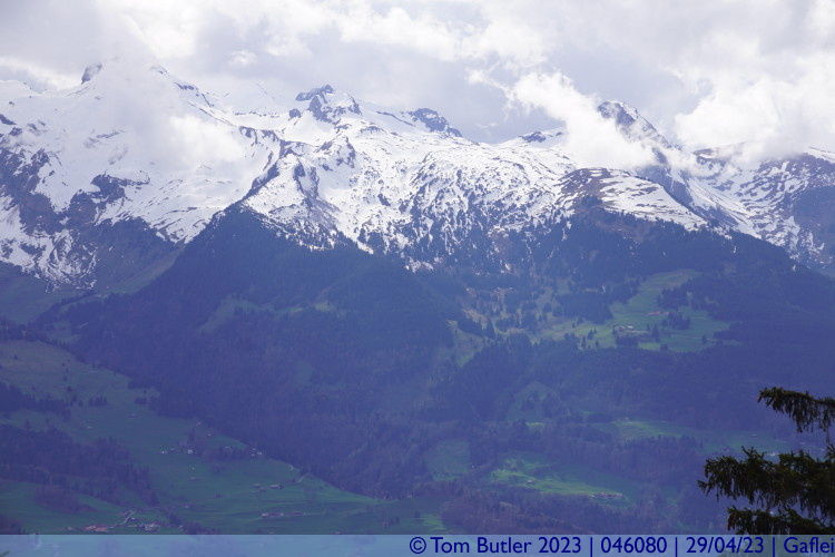 Photo ID: 046080, Snow and grass on the Swiss side, Gaflei, Liechtenstein