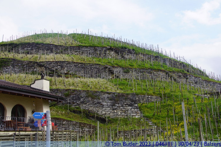 Photo ID: 046111, Terraced vineyards, Balzers, Liechtenstein
