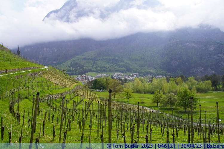 Photo ID: 046121, In the vineyards, Balzers, Liechtenstein