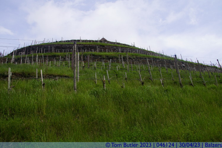 Photo ID: 046124, In the vineyards, Balzers, Liechtenstein