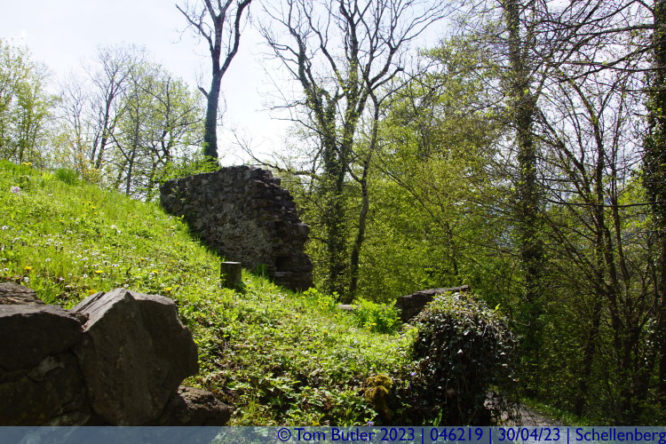Photo ID: 046219, Ruins of the outer walls, Schellenberg, Liechtenstein