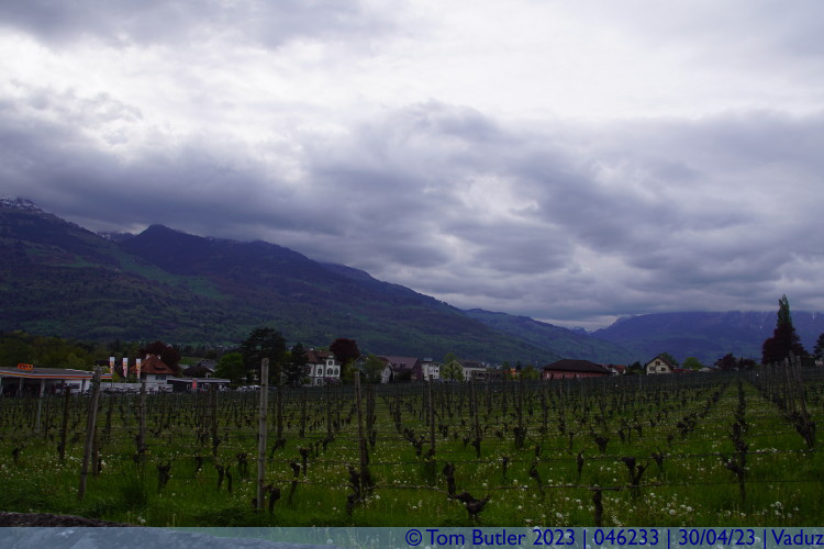 Photo ID: 046233, Princes Vineyards, Vaduz, Liechtenstein
