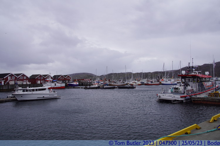 Photo ID: 047300, In the harbour, Bod, Norway
