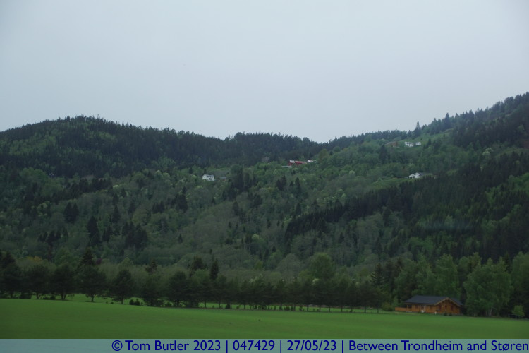 Photo ID: 047429, Hills and fields, Between Trondheim and Stren, Norway