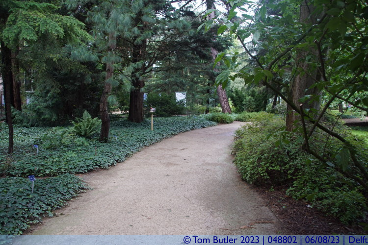 Photo ID: 048802, Inside the Botanical Gardens, Delft, Netherlands