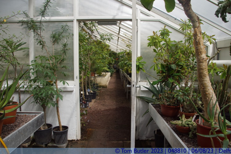 Photo ID: 048810, Inside the green houses, Delft, Netherlands