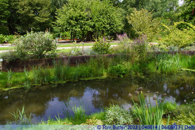 Photo ID: 048814, Botanical Gardens pond, Delft, Netherlands