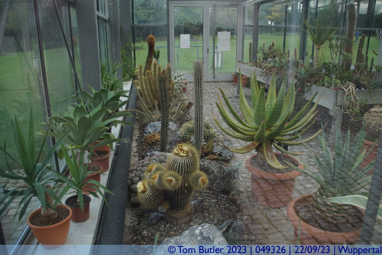 Photo ID: 049326, Inside the cactus house, Wuppertal, Germany