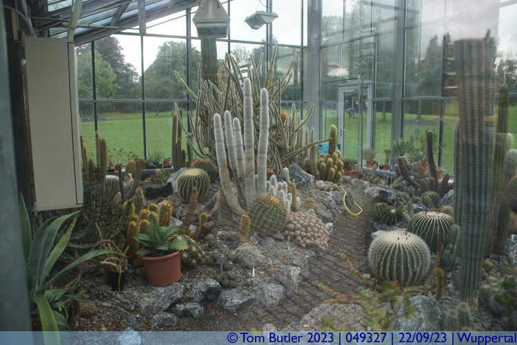 Photo ID: 049327, Botanical Garden cactus house, Wuppertal, Germany