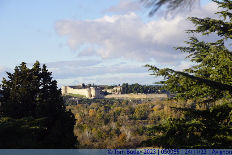 Photo ID: 050085, Fort Saint-Andr through the trees, Avignon, France