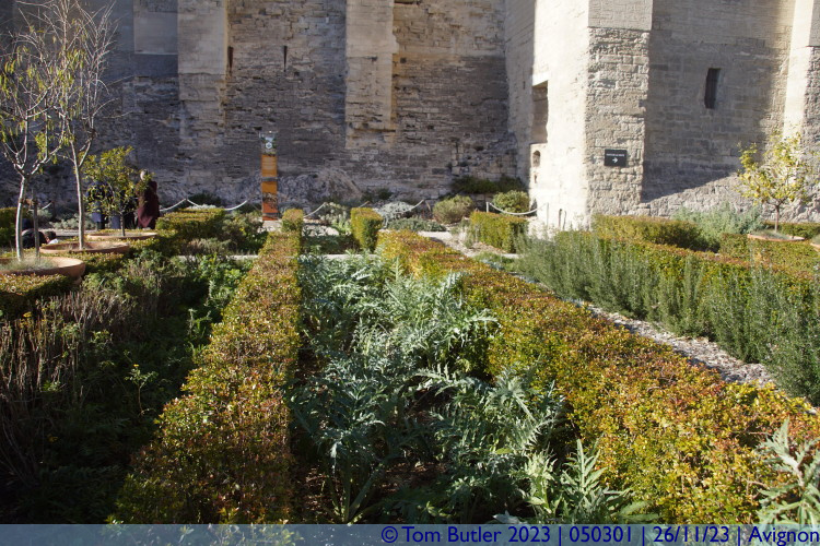 Photo ID: 050301, In the Papal gardens, Avignon, France