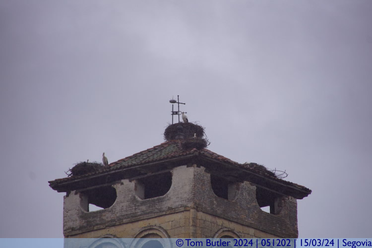 Photo ID: 051202, Storks nesting on a church tower, Segovia, Spain
