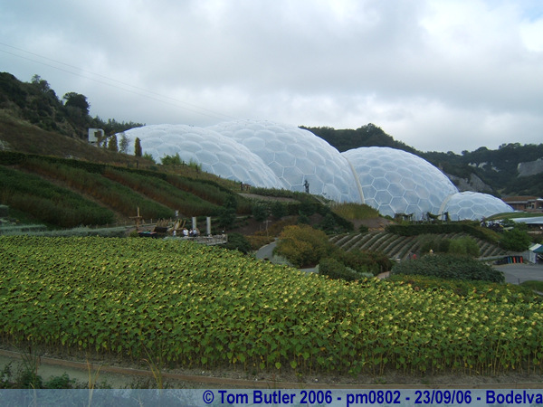 Photo ID: pm0802, The biomes of the Eden Project, Bodelva, Cornwall