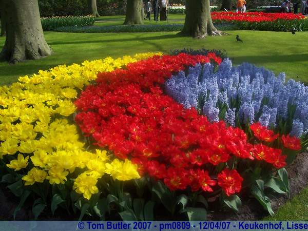 Photo ID: pm0809, Inside the flower gardens at Lisse, Keukenhof, Lisse, Netherlands
