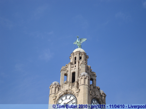 Photo ID: pm1211, A Liver Bird atop the Liver Building, Liverpool, England