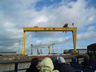 Photo ID: 003208, Harland & Wolff Shipyard (47Kb)