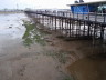 Photo ID: 004547, Estuary mud and pier (104Kb)