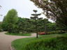 Photo ID: 004696, Japanese garden (79Kb)